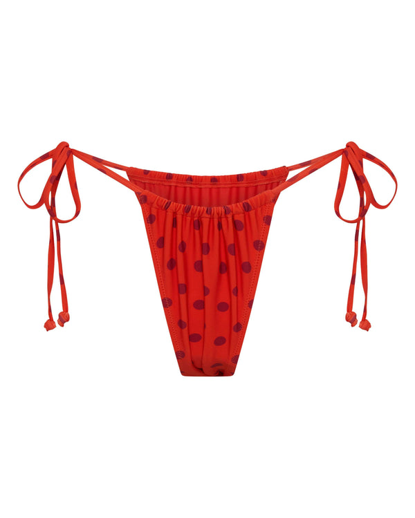 Rio Bottom Chilli Polka image 1