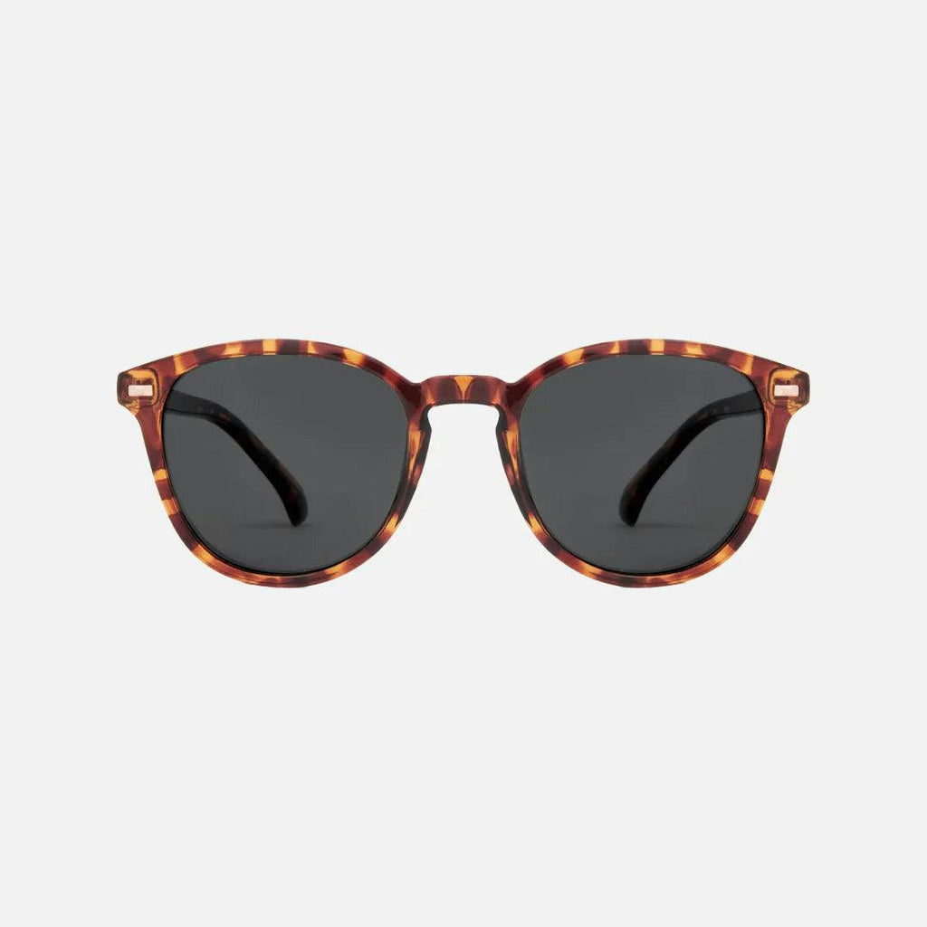 Oslo - Gloss Tort Grey Polarized Lens