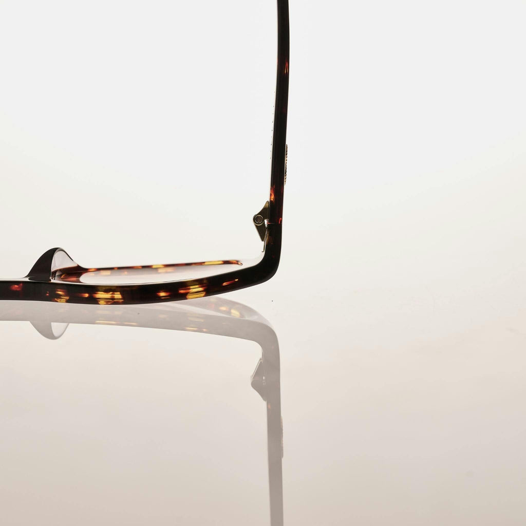 PALOMA Gloss Tort | Rose Gradient Bio Lens