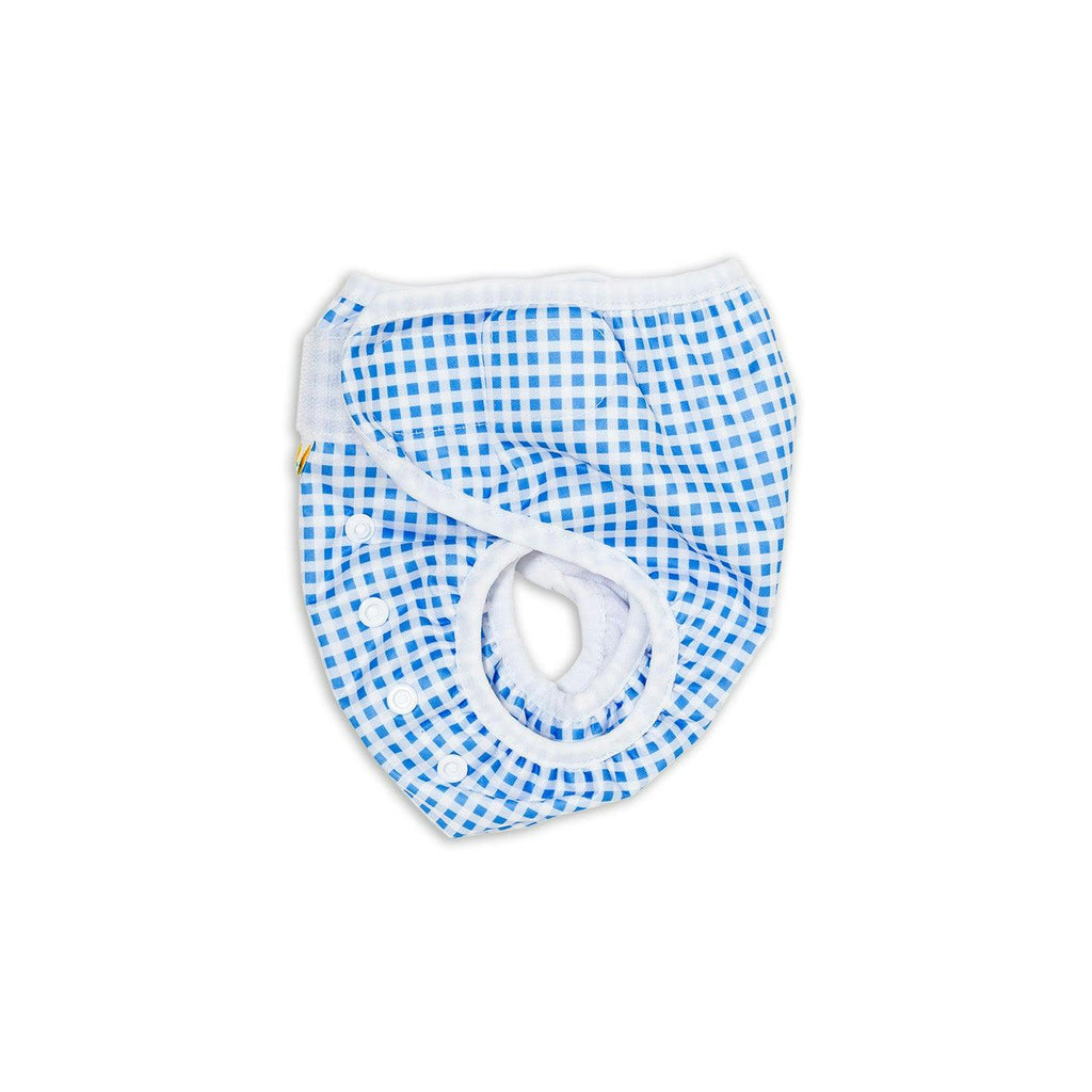 Adjustable Reusable Swim Nappy and Wet Bag - Blue Gingham Check