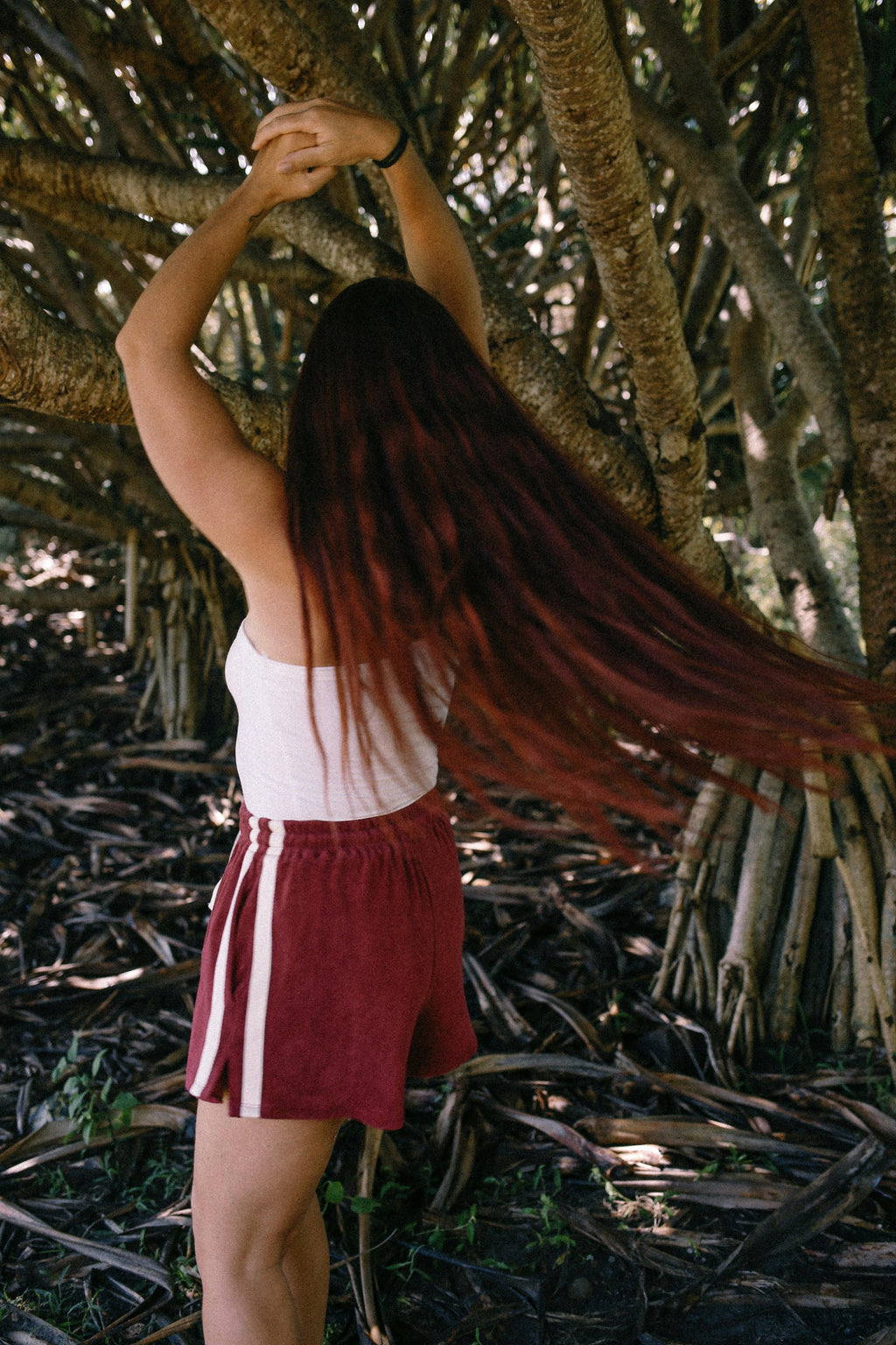 Terry Towelling Shorts Berry