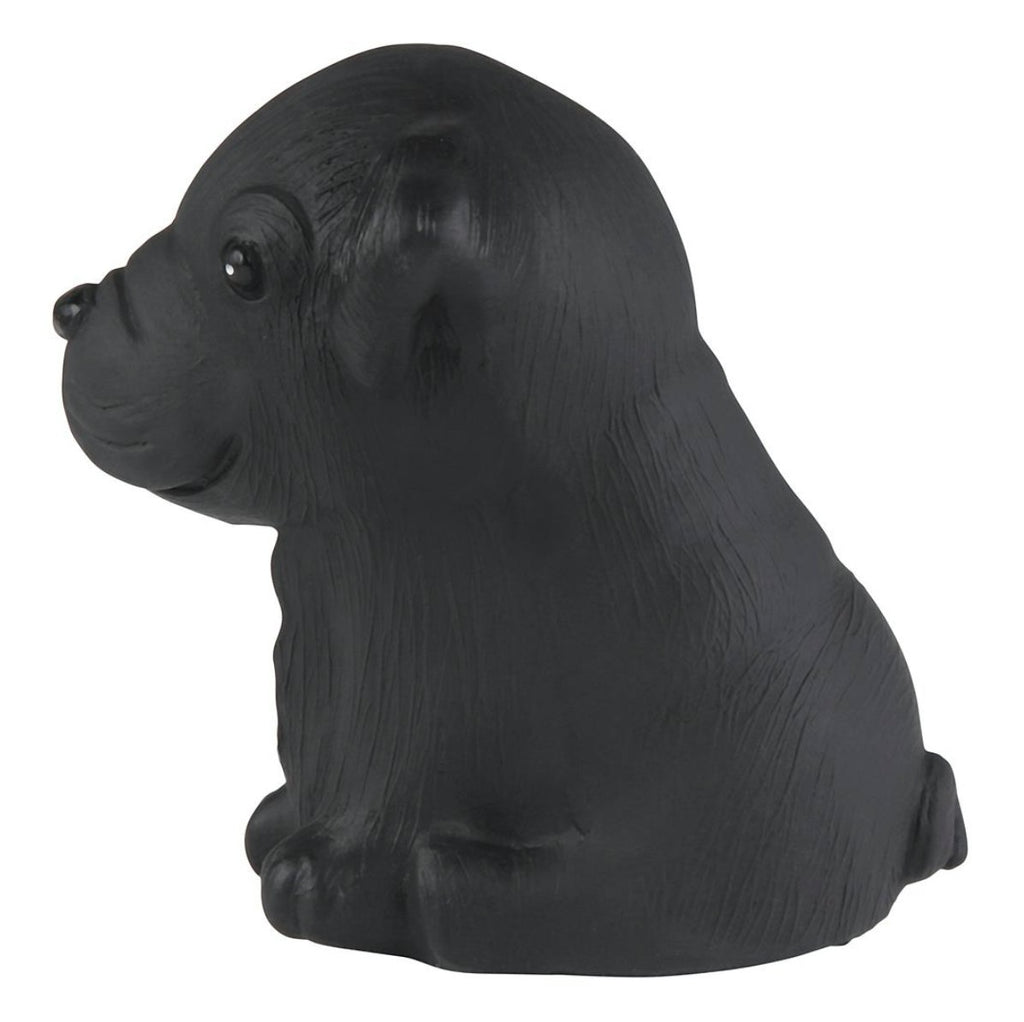Hevea Puppy Parade Natural Rubber French Bulldog