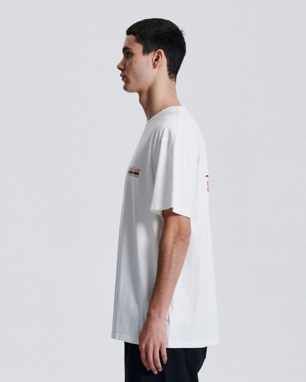 The Blends Tee - Vintage White