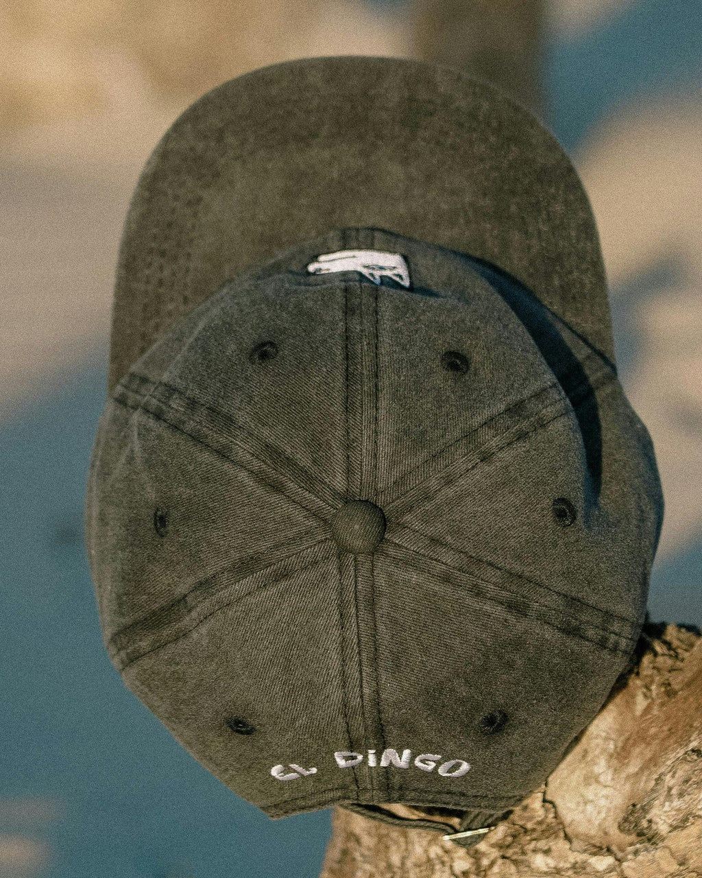 El Dingo Dad Cap - Vintage Wash Black