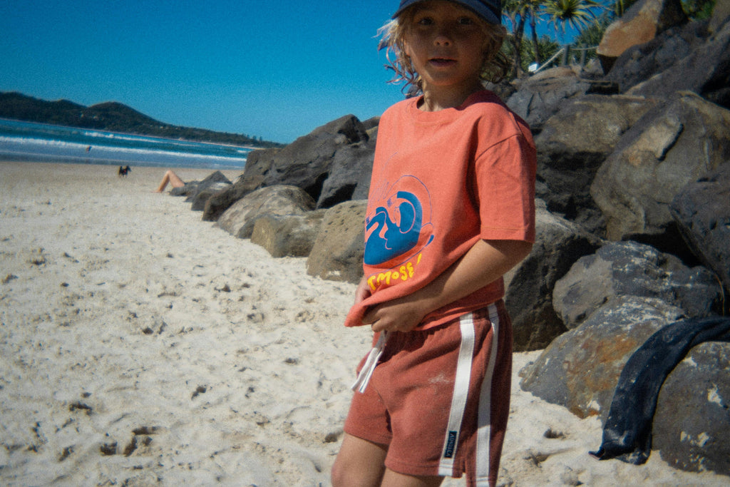Mini Terry Towelling Shorts in Rust