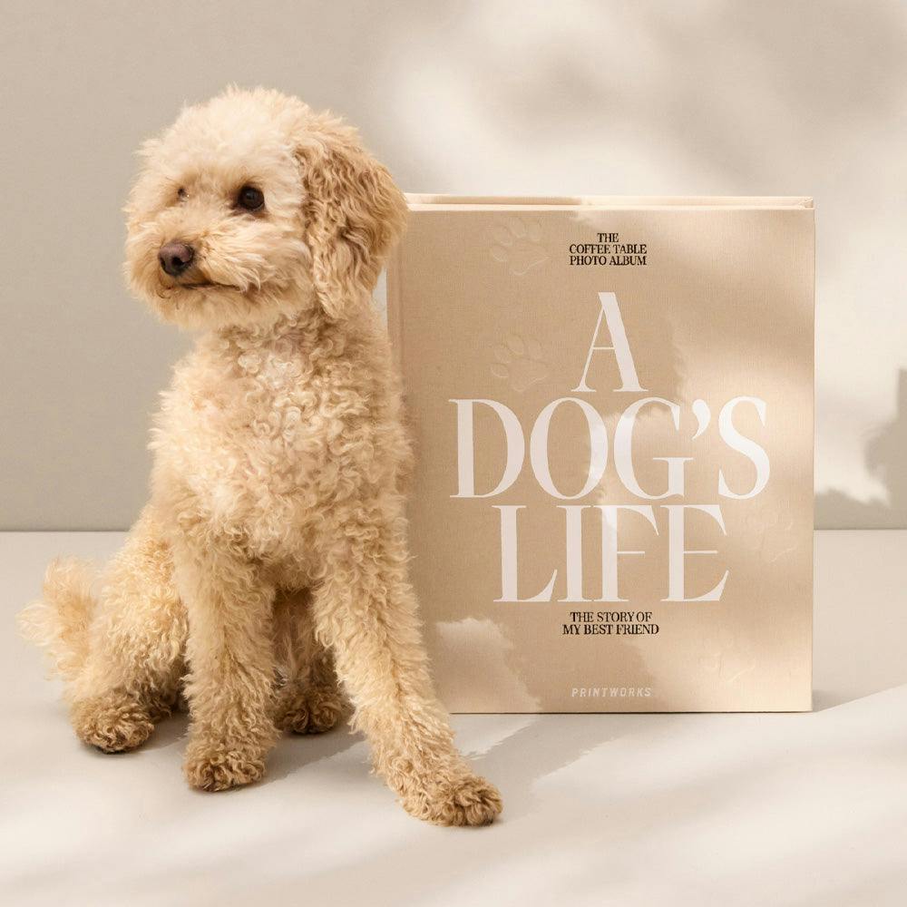 Printworks Dog Album-A Dogs Life