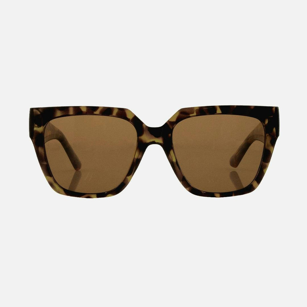 Brooklyn - Gloss Tort Frame Brown Lens