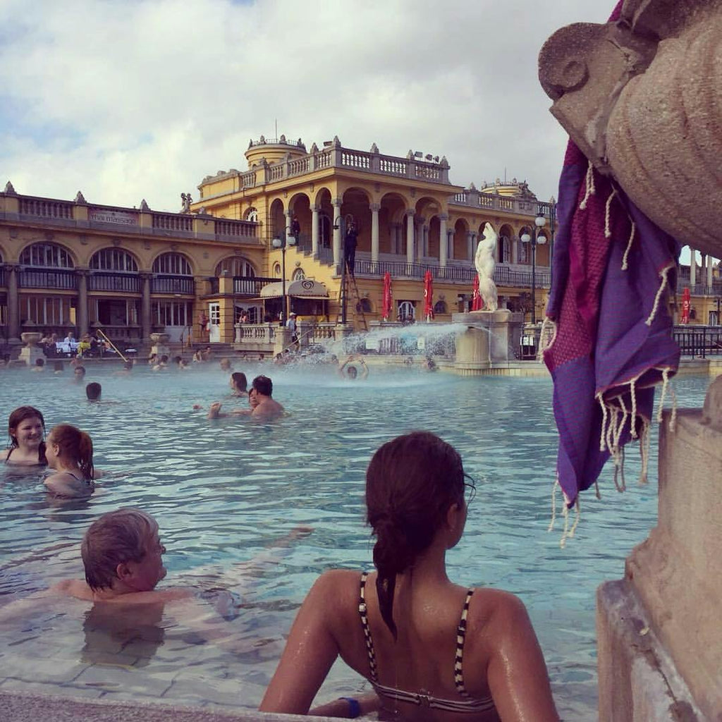 Purple Mountain Majestic