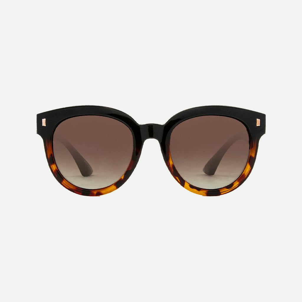 Harpo - Gloss Black Tort Brown Gradient -  Polarized
